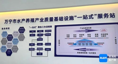 萬寧市水產(chǎn)養(yǎng)殖產(chǎn)業(yè)質量基礎設施一站式服務站揭牌成立，開啟證照代辦服務新篇章